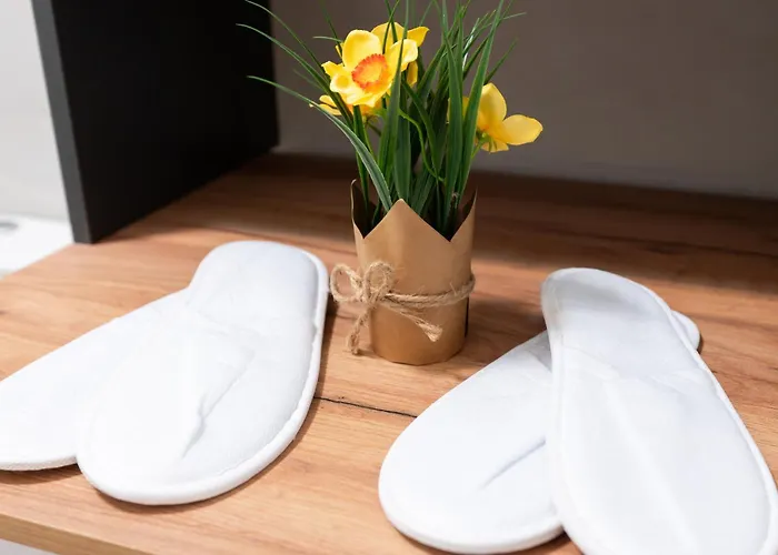 Daire Soni Exclusive 299 Plaza With Free Private Parking & Self Check-in