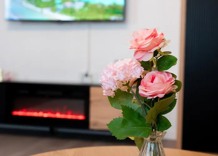 Soni Exclusive 299 Plaza With Free Private Parking & Self Check-in Daire