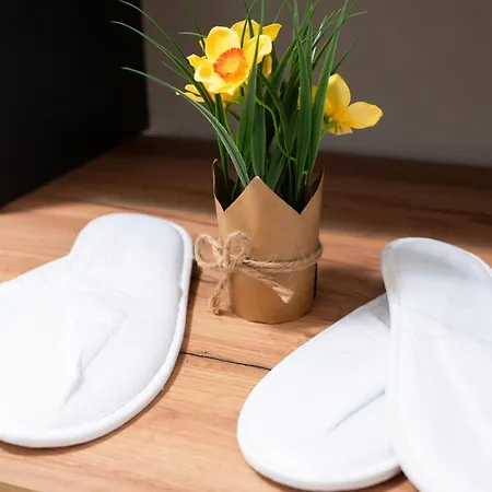 Apartment Soni Exclusive 299 Plaza With Free Private Parking & Self Check-in