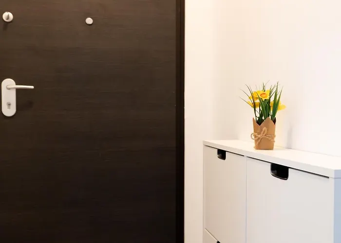 Soni Exclusive 299 Plaza With Free Private Parking & Self Check-in Apartment *